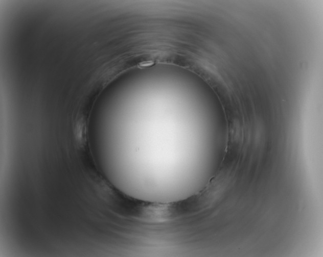 X0000089730138200707051745