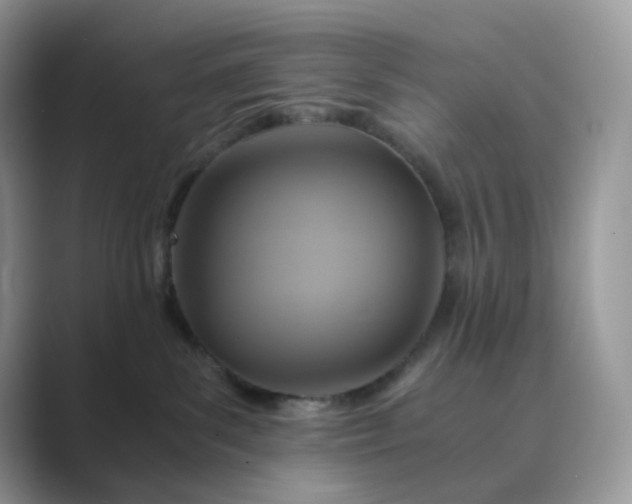 X0000089730139200707051745