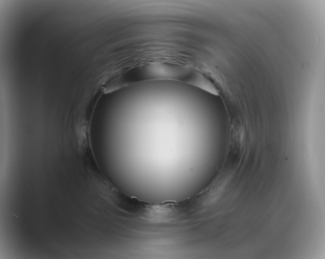 X0000089730141200707051745