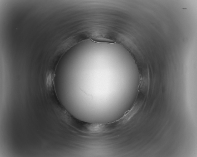 X0000089730142200707051745