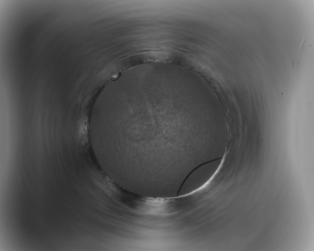 X0000089730144200707051745