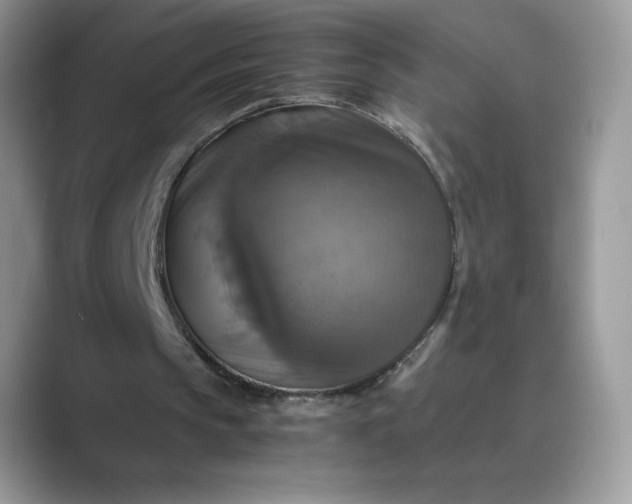 X0000089730145200707051745