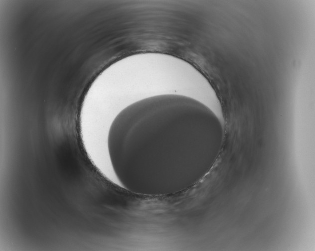 X0000089730146200707051745