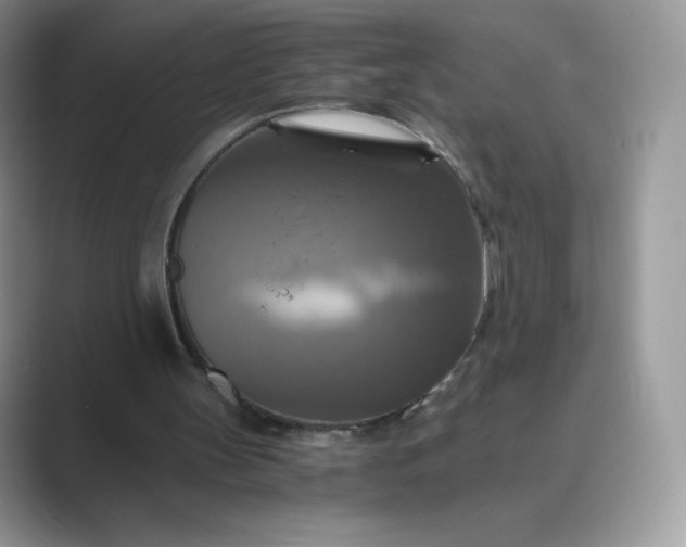 X0000089730147200707051745