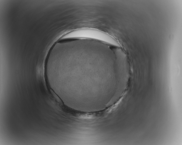 X0000089730148200707051745