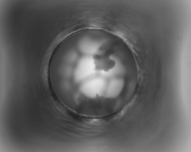 X0000089730151200707051745
