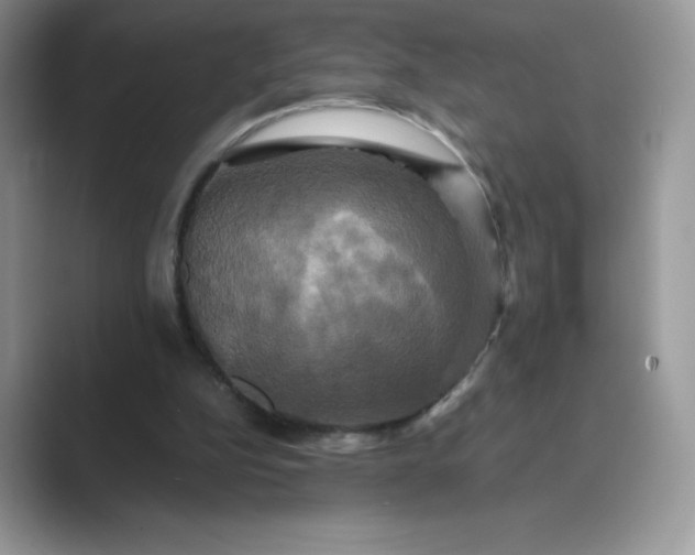 X0000089730152200707051745