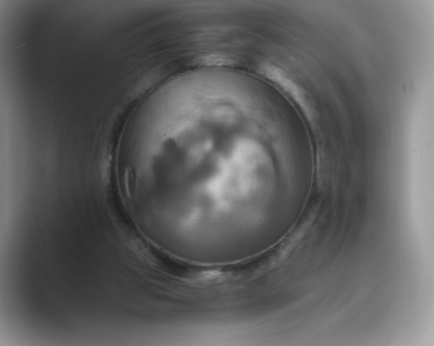 X0000089730153200707051745