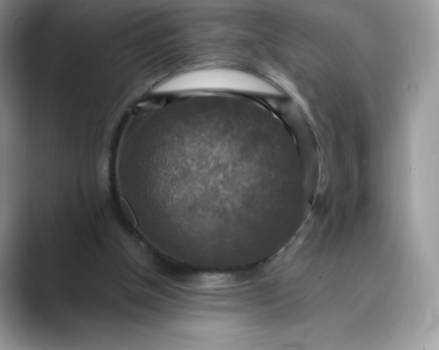 X0000089730154200707051745
