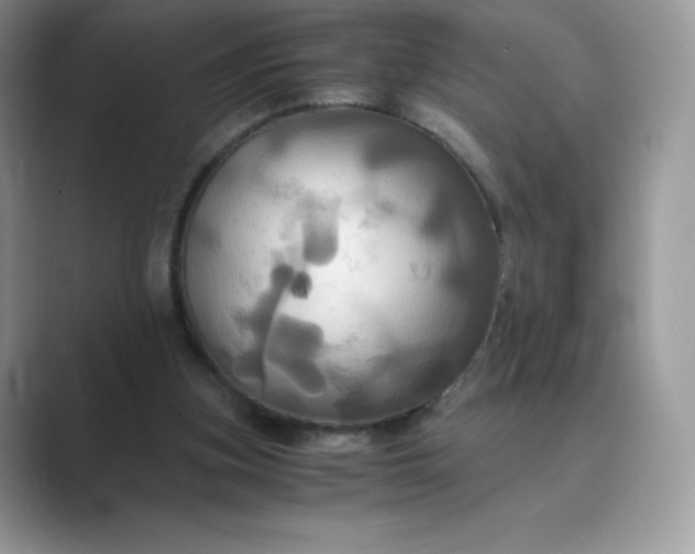 X0000089730155200707051745
