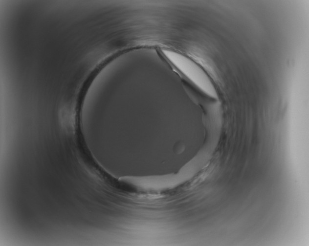 X0000089730156200707051745