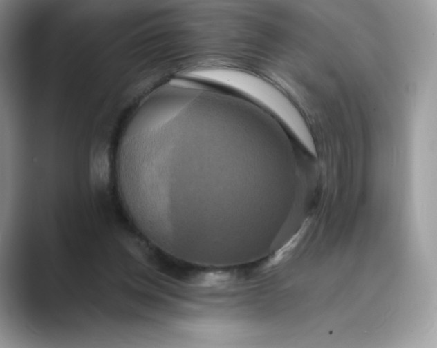 X0000089730158200707051745