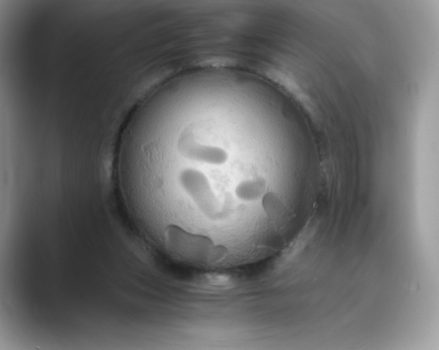 X0000089730159200707051745