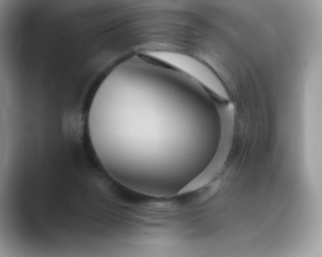 X0000089730160200707051745