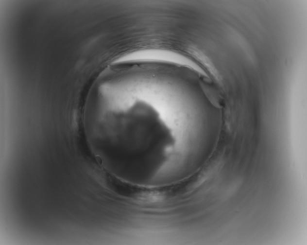 X0000089730161200707051745
