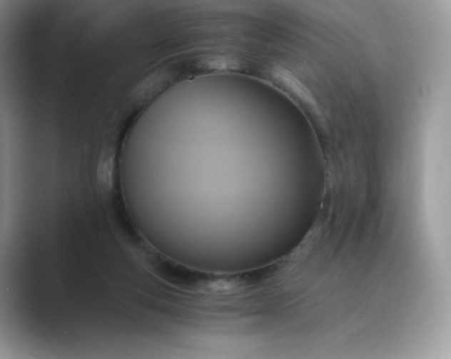 X0000089730163200707051745