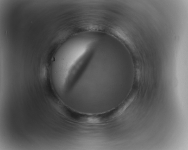 X0000089730165200707051745