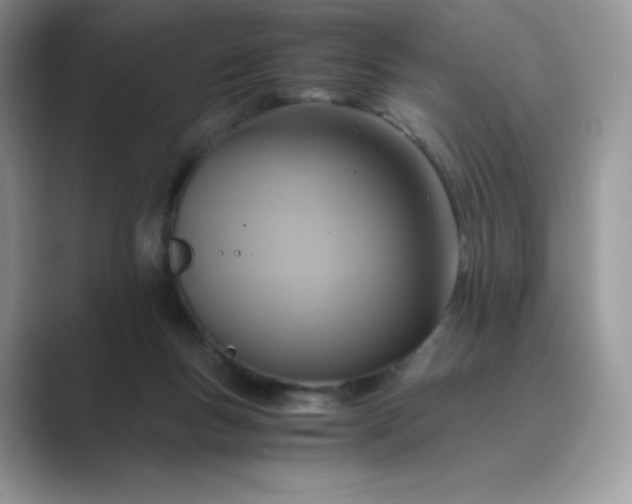 X0000089730167200707051745