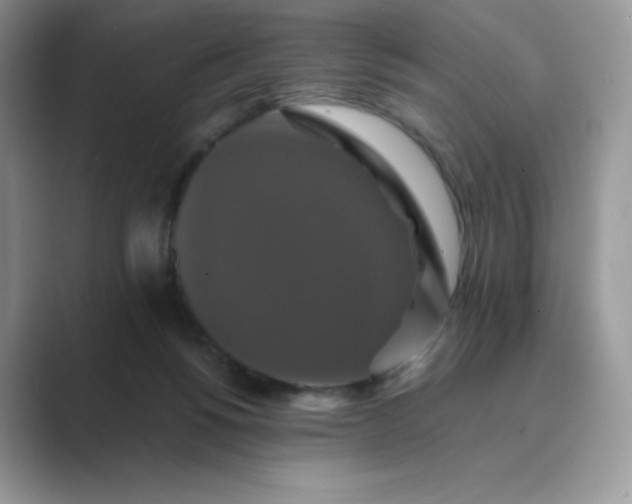 X0000089730168200707051745
