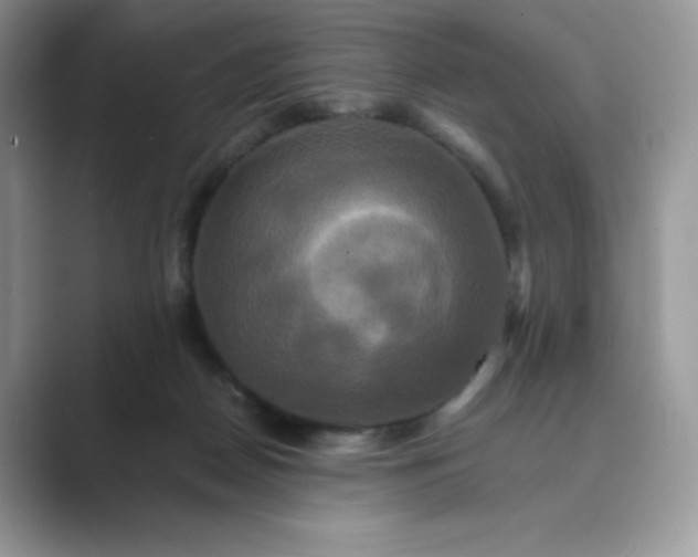 X0000089730170200707051745