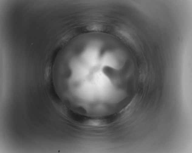 X0000089730171200707051745