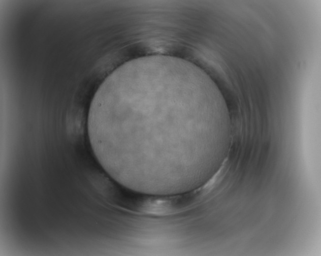 X0000089730174200707051745