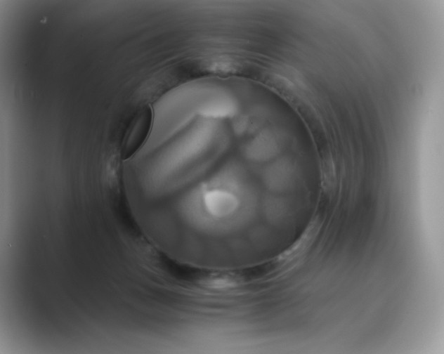 X0000089730175200707051745