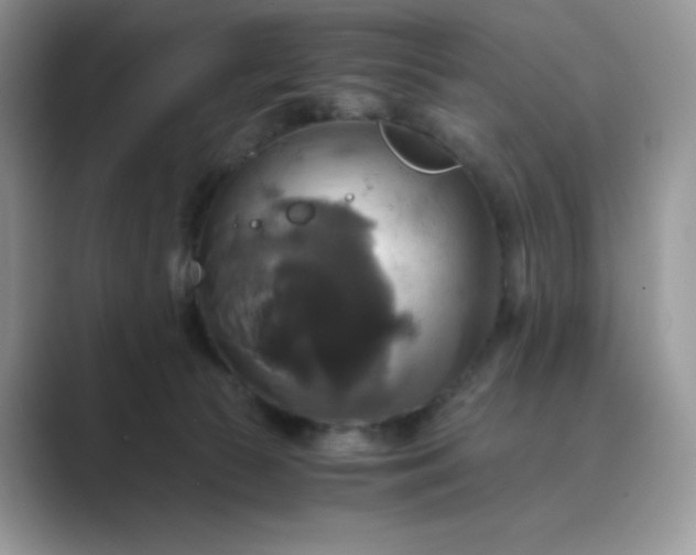 X0000089730177200707051745