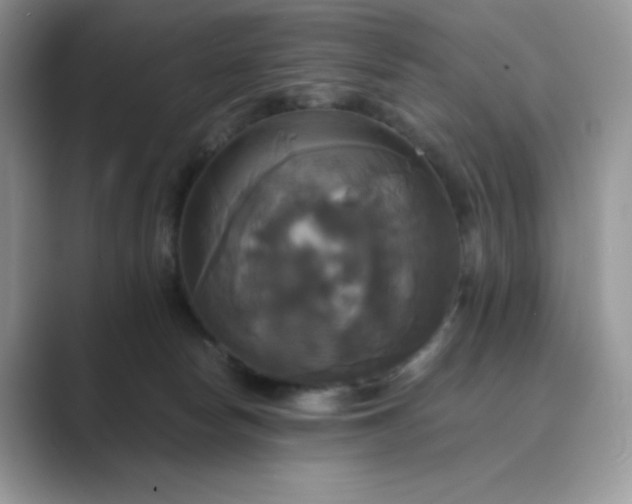 X0000089730178200707051745