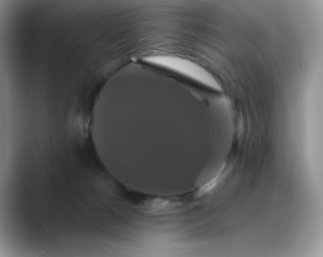 X0000089730180200707051745