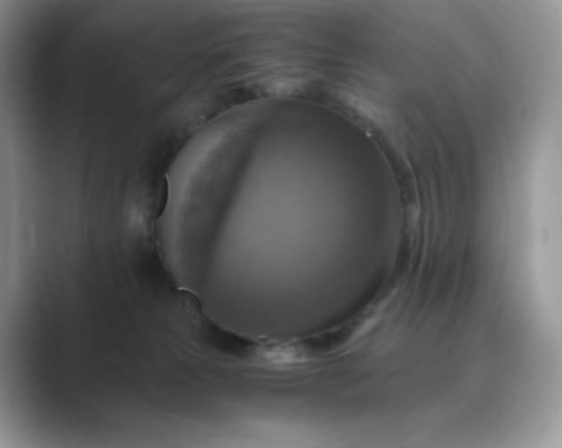 X0000089730181200707051745