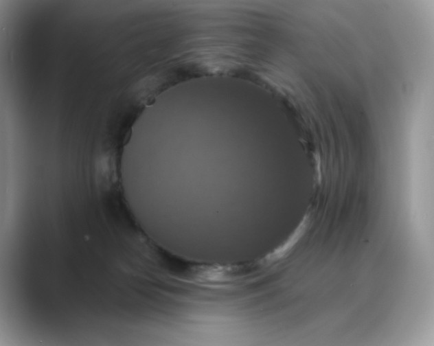 X0000089730182200707051745