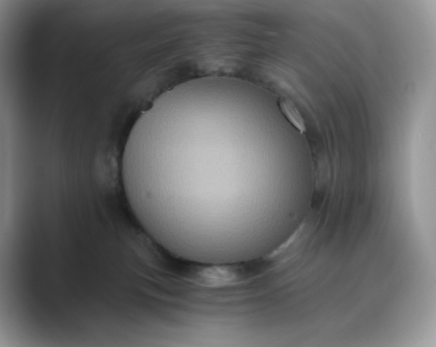 X0000089730183200707051745