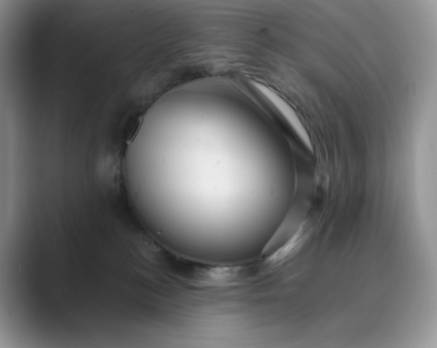 X0000089730184200707051745