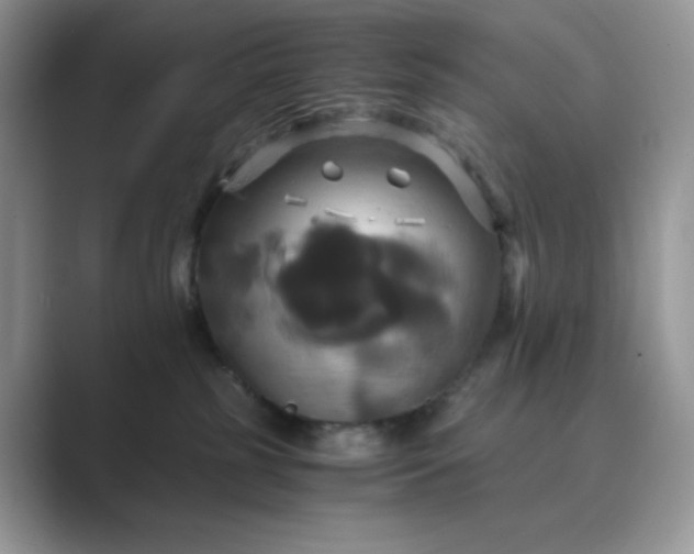X0000089730185200707051745