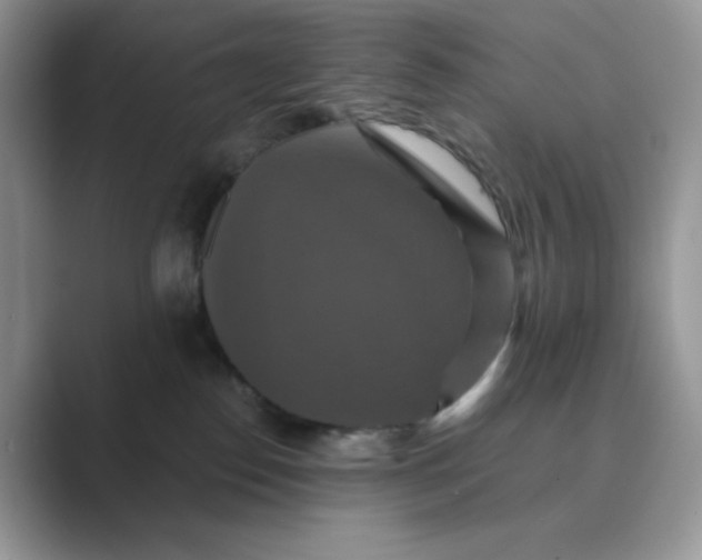 X0000089730186200707051745