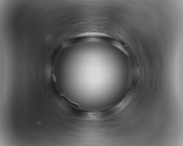 X0000089730188200707051745