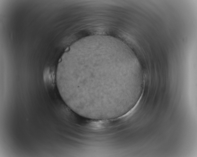 X0000089730190200707051745