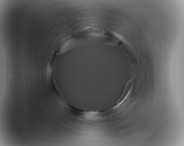 X0000089730192200707051745