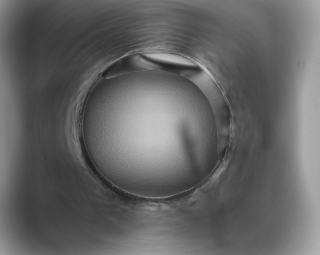 X0000089730193200707051745