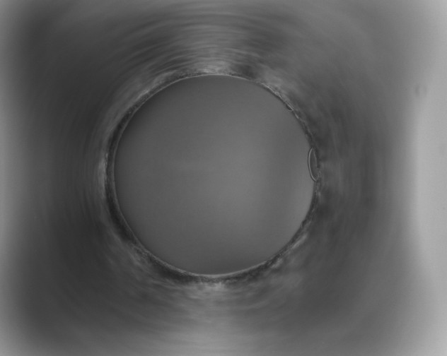 X0000089730194200707051745
