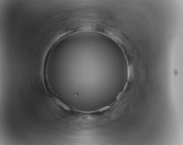 X0000089730195200707051745