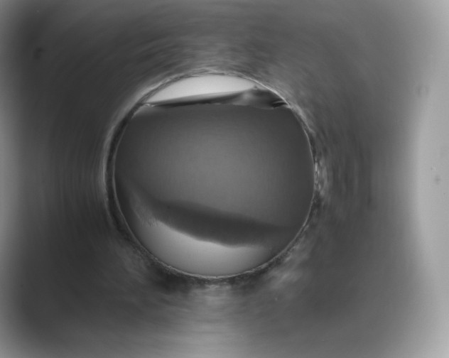 X0000089730196200707051745