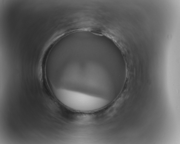X0000089730198200707051745
