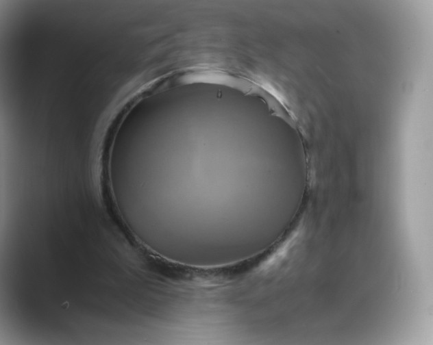 X0000089730199200707051745