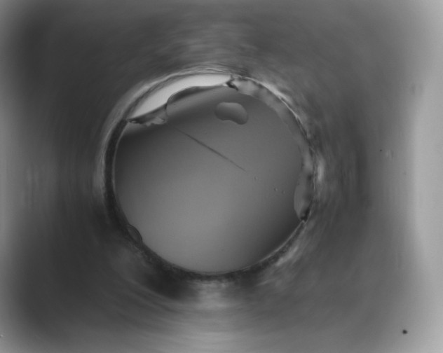 X0000089730200200707051745