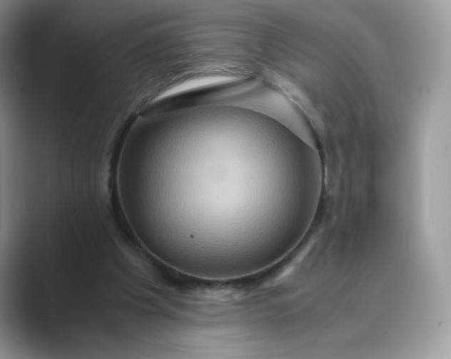 X0000089730201200707051745