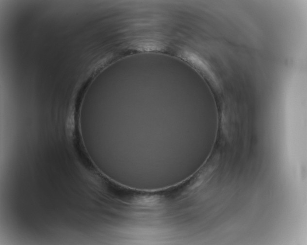 X0000089730202200707051745