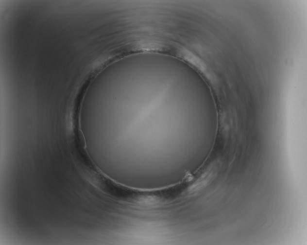 X0000089730203200707051745
