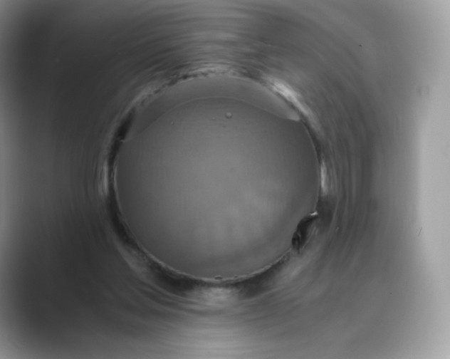 X0000089730205200707051745